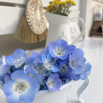 ガーデニング作業台の投稿画像一覧 Greensnap グリーンスナップ