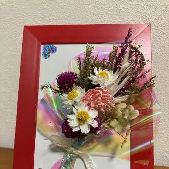 プレゼント企画の画像 by コダクンさん | デスクとハナカンザシと花束とプレゼント企画とiPhone se
