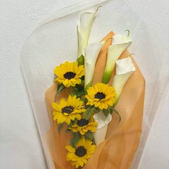 記念日の画像 by Sayaka♡さん | ひまわりと向日葵とカラーと切り花と記念日と花束と付き合った記念日