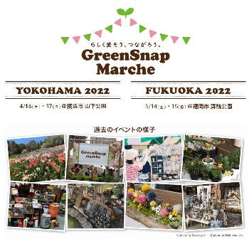 GreenSnap Marcheの画像 by GreenSnap公式さん | お出かけ先とGreenSnap Marcheとガーデンネックレス横浜2022コンテスト