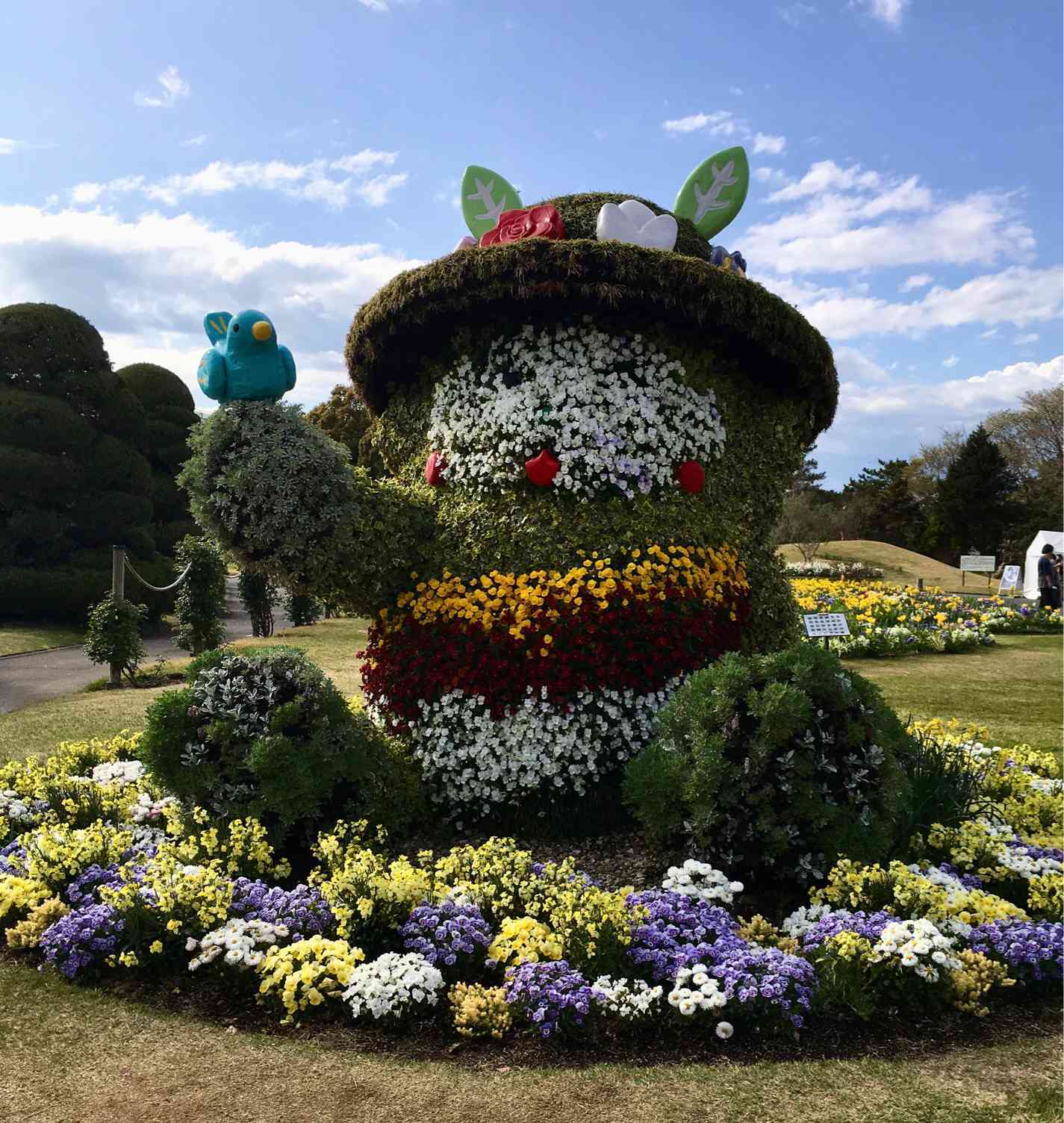 静岡県浜松市浜松フラワーパークのお花さん💐2022年4月｜🍀GreenSnap