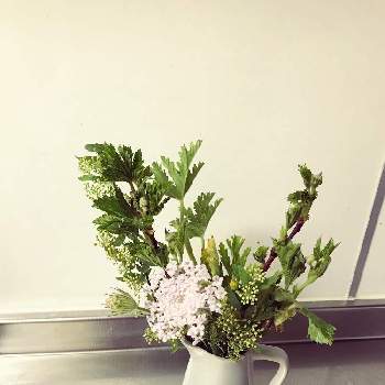 花活の画像 by ネズミの子さん | 玄関とグリーンブーケとflower kitchenとお花の定期便と花のサブスクと花活とブーケと花のある暮らしと葉暮らしと切り花