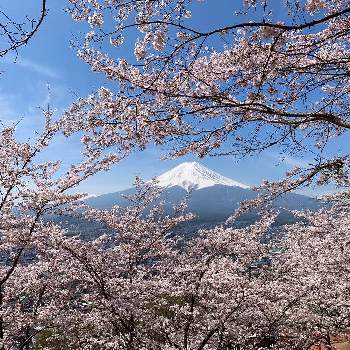  富士山の画像 by ひろリンさん |  富士山とGSアダルトチーム