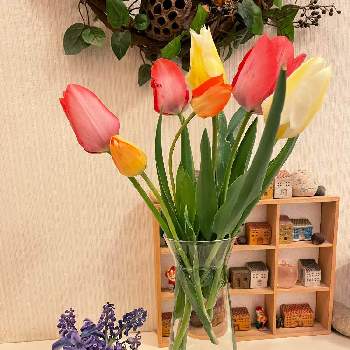 テーブル花の画像 by ころわんママさん | 部屋とテーブル花と ムスカリと季節の花とおうち園芸とヒヤシンスの花と チューリップと花いろいろと0円アレンジとテーブルの花と花のある暮らしと小さな花と『秋植え球根2022』フォトコンテスト
