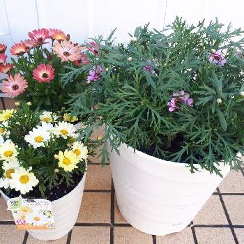 98uwx7uqko3jxm 98uwx7uqko3jxm