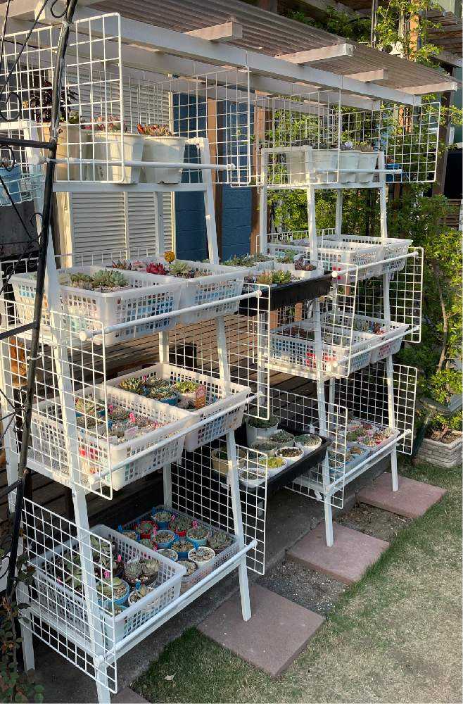 棚に屋根を取り付け｜🍀GreenSnap（グリーンスナップ）