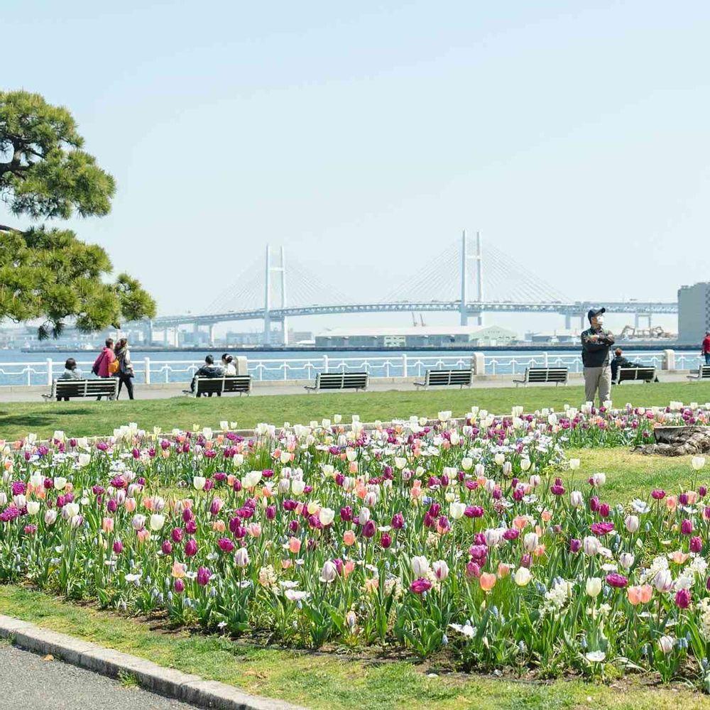 【公式】ガーデンネックレス横浜さんの山下公園への投稿