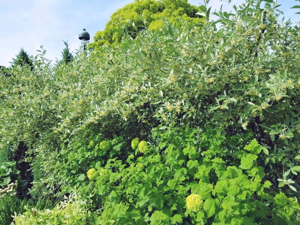 エリィさんの港の見える丘公園への投稿