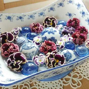 Dxotzscjvxm Dxotzscjvxm