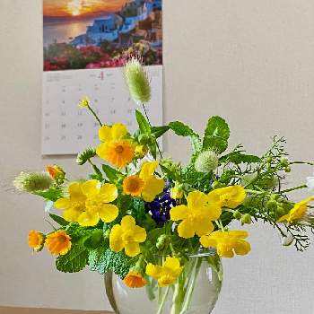 手作りブーケの画像 by ゆうちゃんさん | 階段/廊下と春の植物とおうち園芸と手作りブーケと飾る楽しみと花のある暮らし