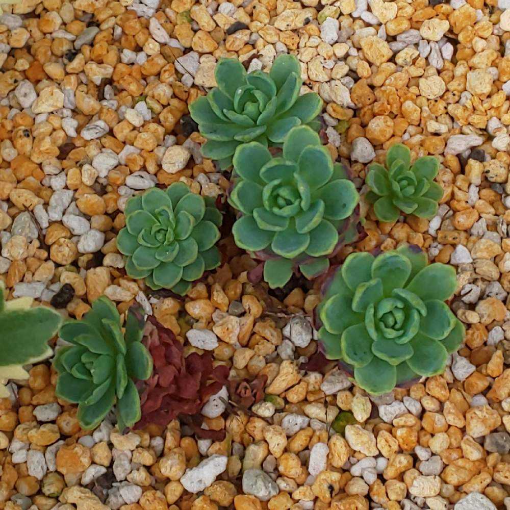 1650027066697_thum_195741_2022