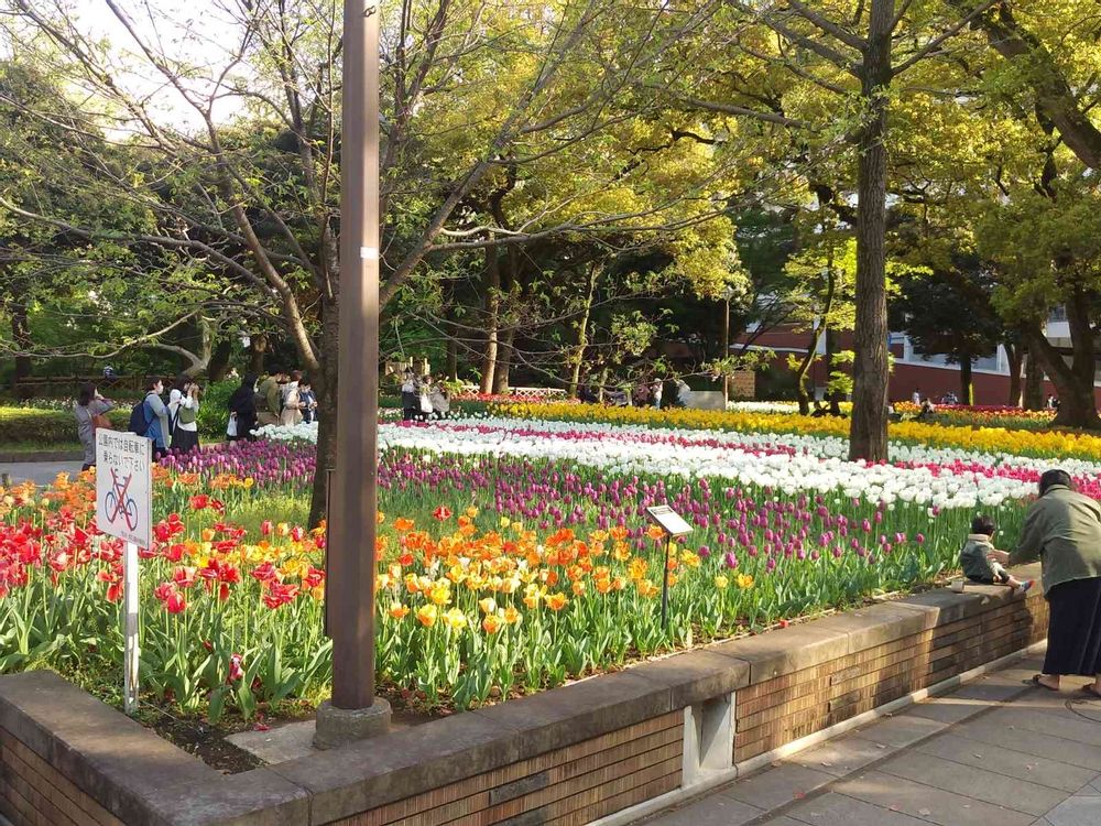 越智小保礼さんの横浜公園への投稿