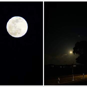 お散歩風景の画像 by biancoさん | 満月の夜とお散歩風景