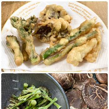 春野菜,収穫野菜で料理,収穫野菜の天ぷらの画像