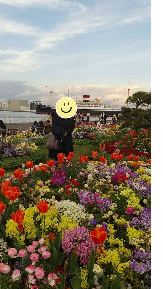 和の花♪さんの山下公園への投稿