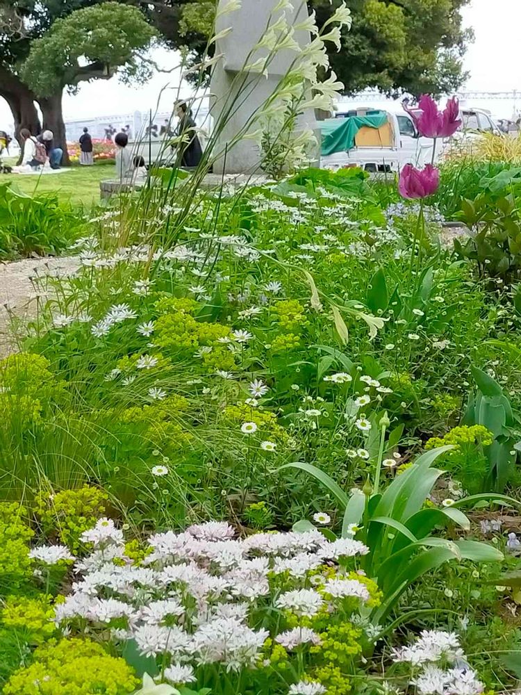 とりさんの山下公園への投稿