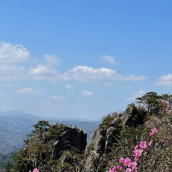 自然の造形美の画像 by chizuさん | お出かけ先とアカヤシオと二ッ箭山と自然の造形美とビックリ‼️と山野草とお顔がこんにちはと楽しかったぁ～♥️と山歩きと花のある暮らし❤とスプリングエフェメラルと山で出会ったお花達と山の風景とiPhone撮影