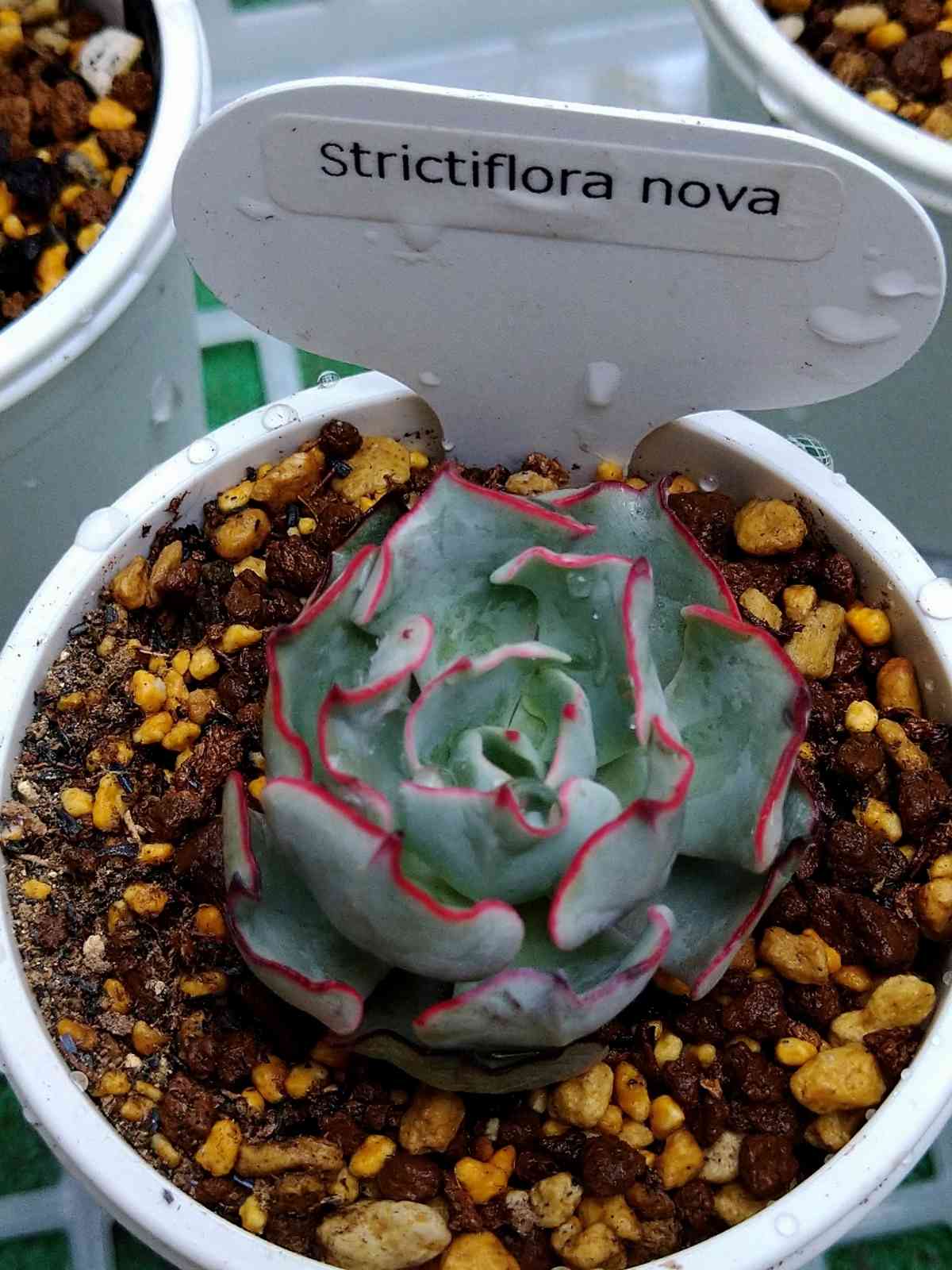 1650199160086_206705_20220417_