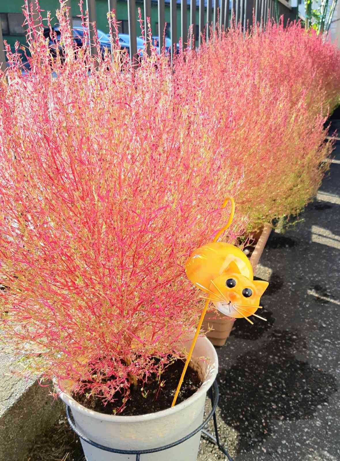 1650280703992_391702_20220418_