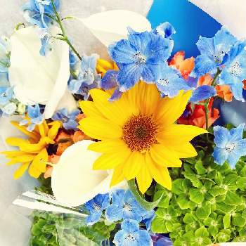 デルフィニウム青の画像 by 金平糖さん | デスクとミニひまわり♡とグリーンの紫陽花とカラー♡とデルフィニウム青と花束