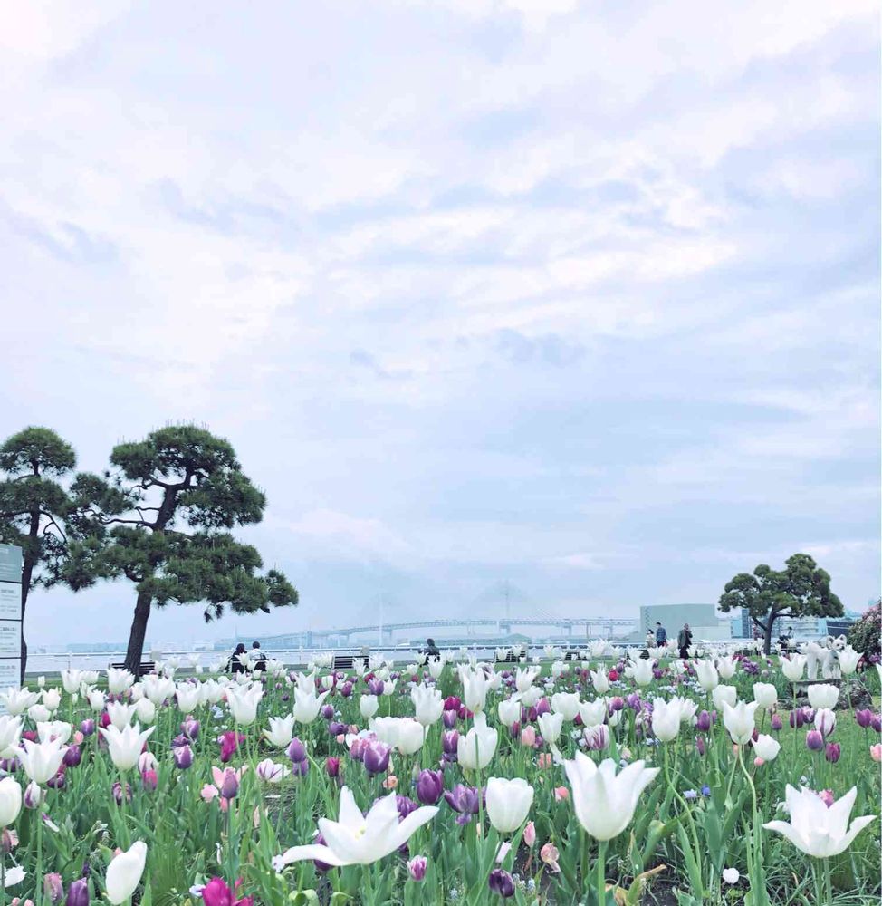 わかばさんの山下公園への投稿