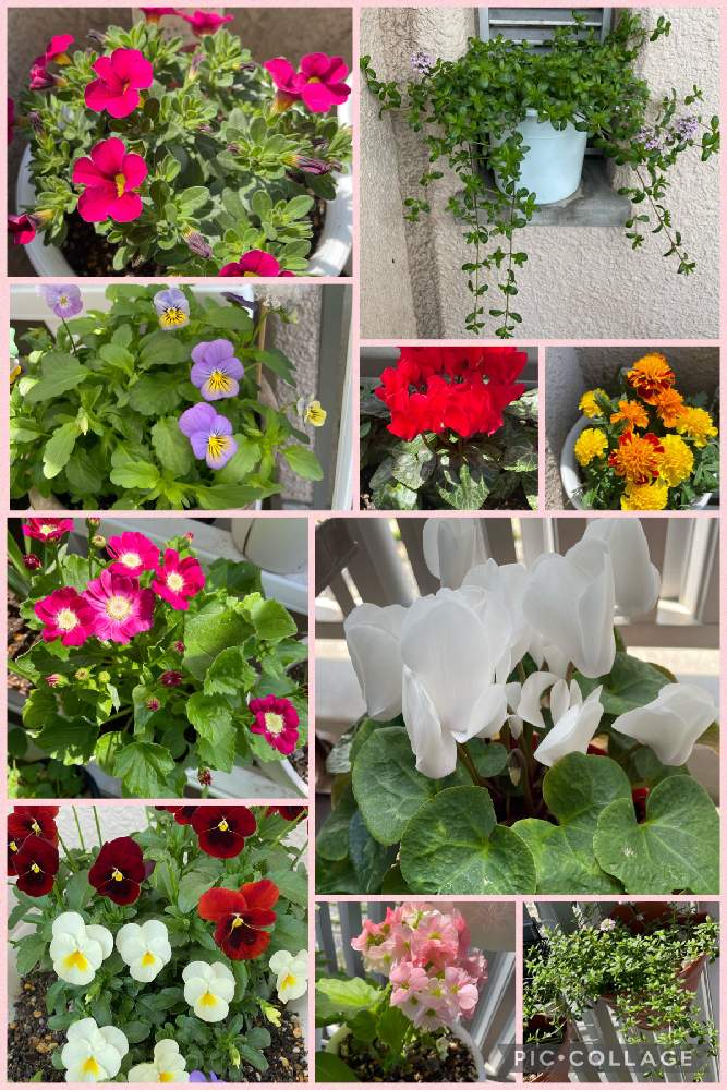 Twcdfdhorovx8m Twcdfdhorovx8m