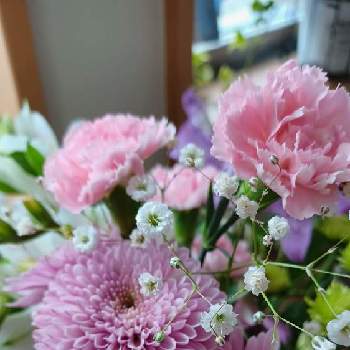 マムの画像 by mimozaさん | 部屋とマムとカーネーションと19日はピンクの日!と『そうだ、スーパーに花を買いに行こう』フォトコンテストとスーパー ベルクスとメルシーフラワーと#ハナカジ