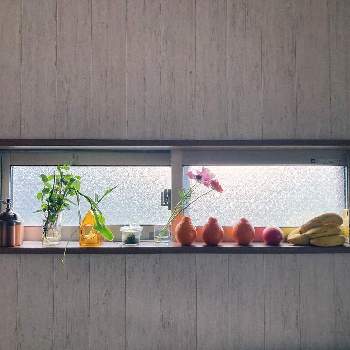 枯れないでの画像 by ゆみんころさん | キッチンとネペンテス属と生活感と枯れないでとわたしの家の観葉植物と楽しい！