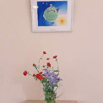 エレモフィア・ニベアの画像 by SKYママさん | 階段/廊下とダイコンソウとエレモフィア・ニベアとシロタエギクとウクライナに平和をとお花を楽しむと戦争反対と元気もらえるとビタミンカラーと花のある暮らしと日常に感謝と癒しのひと時