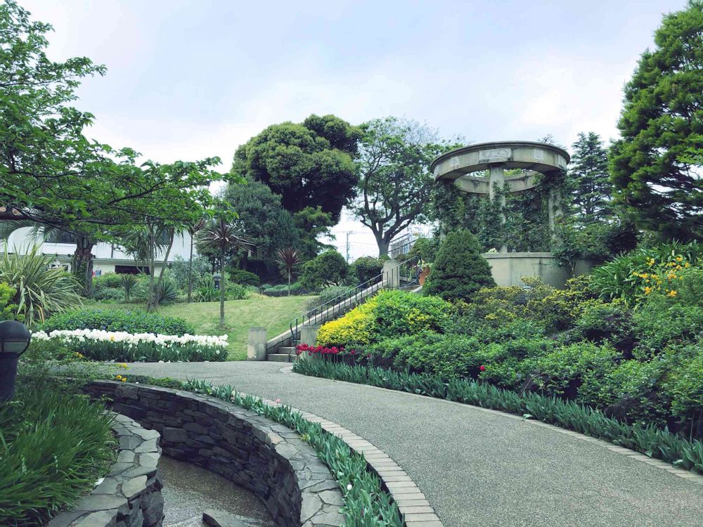 わかばさんの港の見える丘公園への投稿