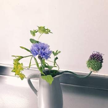花活の画像 by ネズミの子さん | キッチンとお花の定期便と花のサブスクとhitohanaと花活とブーケと花のある暮らしと切り花