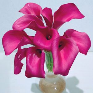 カラー,ミニカラー,かわいい,切り花,フラワーアレンジメントの画像