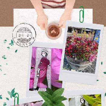 お花パワーの画像 by 聖子さん | お散歩ちゃんと大人の着せ替え人形とお花を楽しむとお散歩ちゃんキーホルダーと癒しと☀️Happy?と散歩とパワースポットとお花パワー
