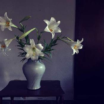 花器の画像 by akanepotteryさん | 部屋とテッポウユリと花のある幸せと花器となげいれと庭の植物と花のある暮らしと白い花
