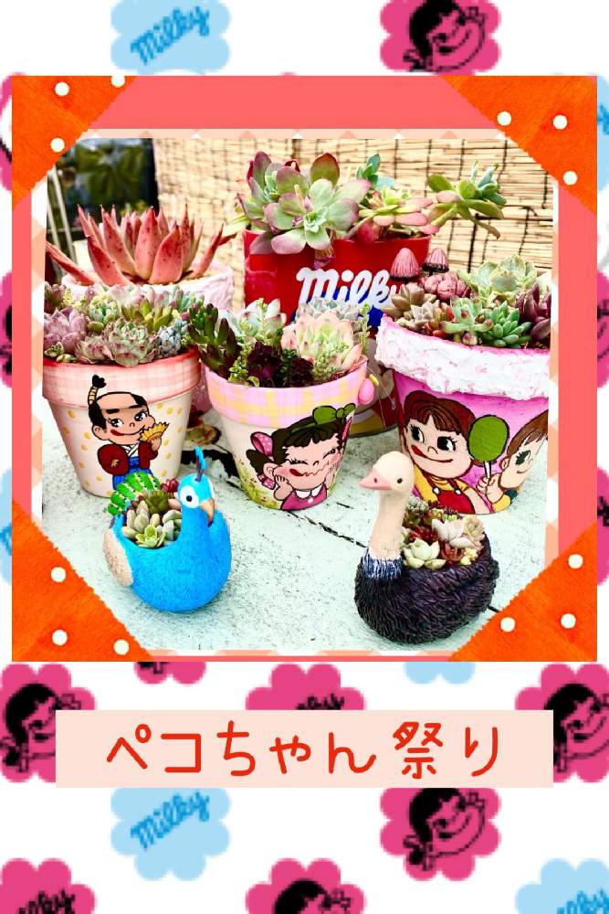 ペコちゃん祭りの投稿画像 By いちごさん Gsに感謝 とバラと夢clubと多肉女子と兵庫タニラーと小さな幸せ と大人かわいい とみたりんちゃん のリメ鉢とペコ殿 とペコちゃん祭りとgsに感謝 とバラと夢clubと多肉女子と兵庫タニラーと小さな幸せ と大人かわいい と