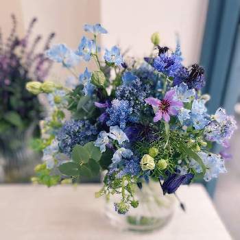 スパイラルブーケの画像 by Plumeria❤️さん | インテリアと私の癒し♡と春のお花と青色の小花とスパイラルブーケと花いろいろとお花のある生活