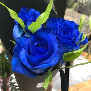 薔薇,ありがとう♡,繋がりに感謝✨,東北人花の会,良い一日を✨の画像