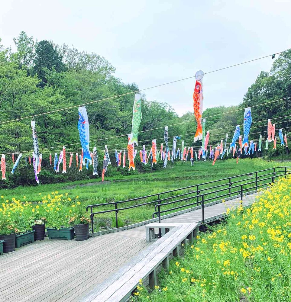 EMIさんの里山ガーデン（大花壇）への投稿