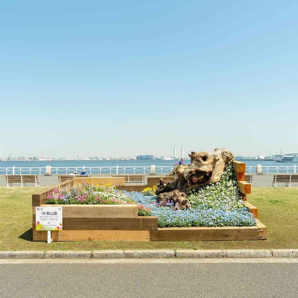 【公式】ガーデンネックレス横浜さんの山下公園への投稿