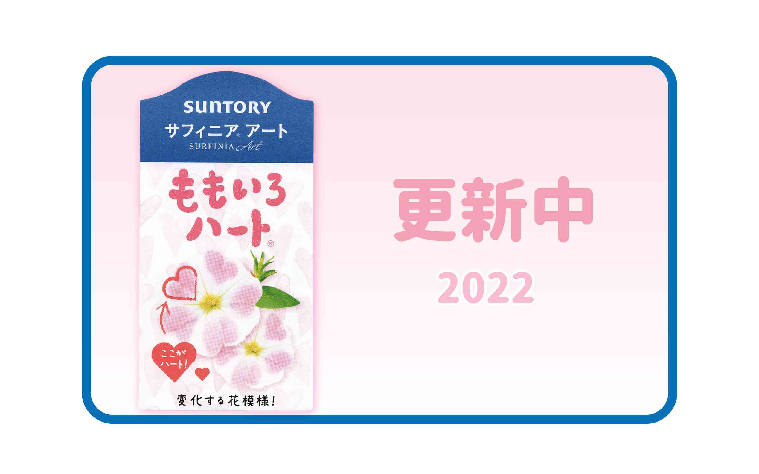 サフィニア ももいろハート 苗3800円 サフィニア・ももいろハート| 種