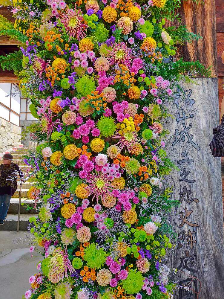 松山城二之丸史跡庭園のフラワーアート｜🍀GreenSnap（グリーン