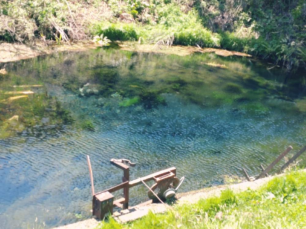 生出湧水の投稿画像 By Yoyoさん お出かけ先と岩手県盛岡市ともりおか近郊自然歩道と品字藻と湧き水と絶滅危惧種と生出コースと岩手県盛岡市ともりおか近郊自然歩道と品字藻と湧き水と絶滅危惧種と生出コース 22月5月2日 Greensnap グリーンスナップ