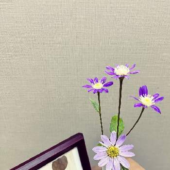 茶花の画像 by りえんぬさん | 都忘れとミヤコワスレと茶花と斑入り葉と絵葉書と切り花を楽しむ