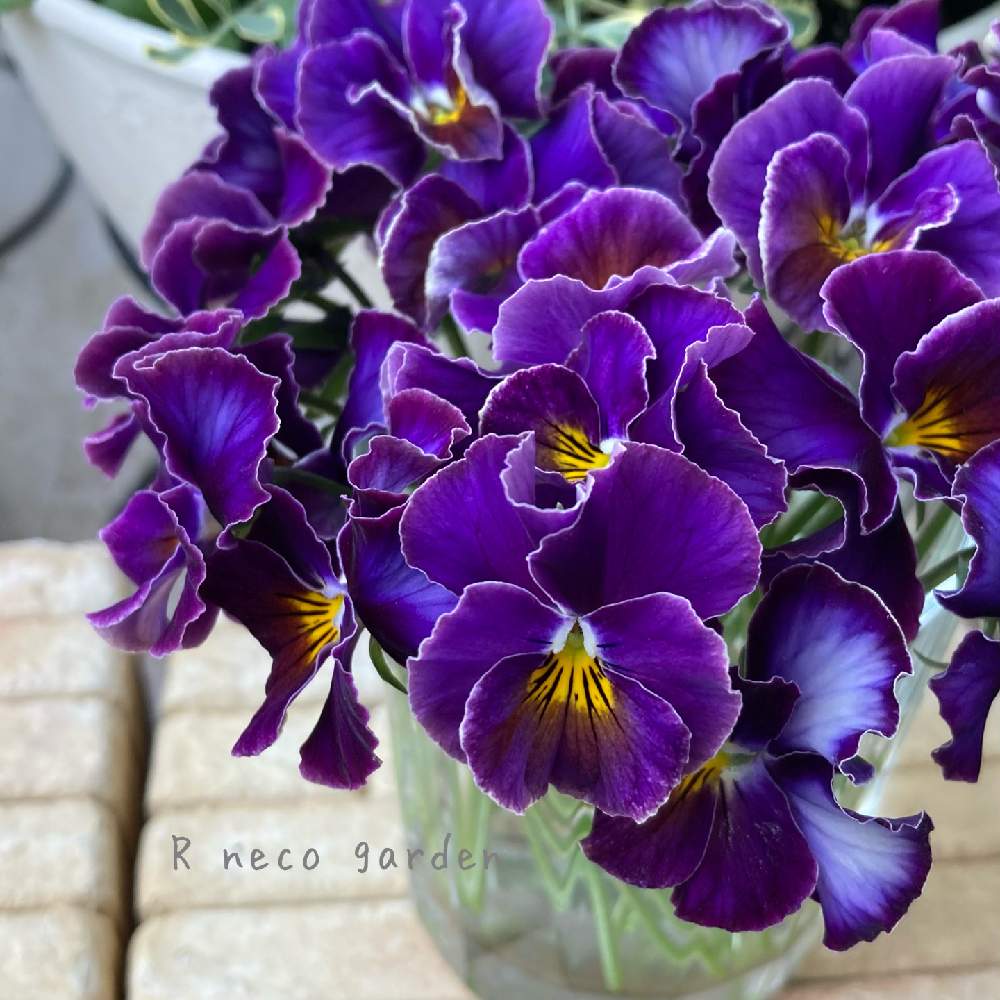 5m9tsp37kag4fm 5m9tsp37kag4fm