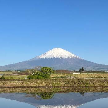 美しい富士山の画像 by ひみつのアッコちゃんさん | お出かけ先と里山の風景と富士山の見える景色と逆さ富士の見える景色と世界文化遺産と私のお気に入りと美しい富士山