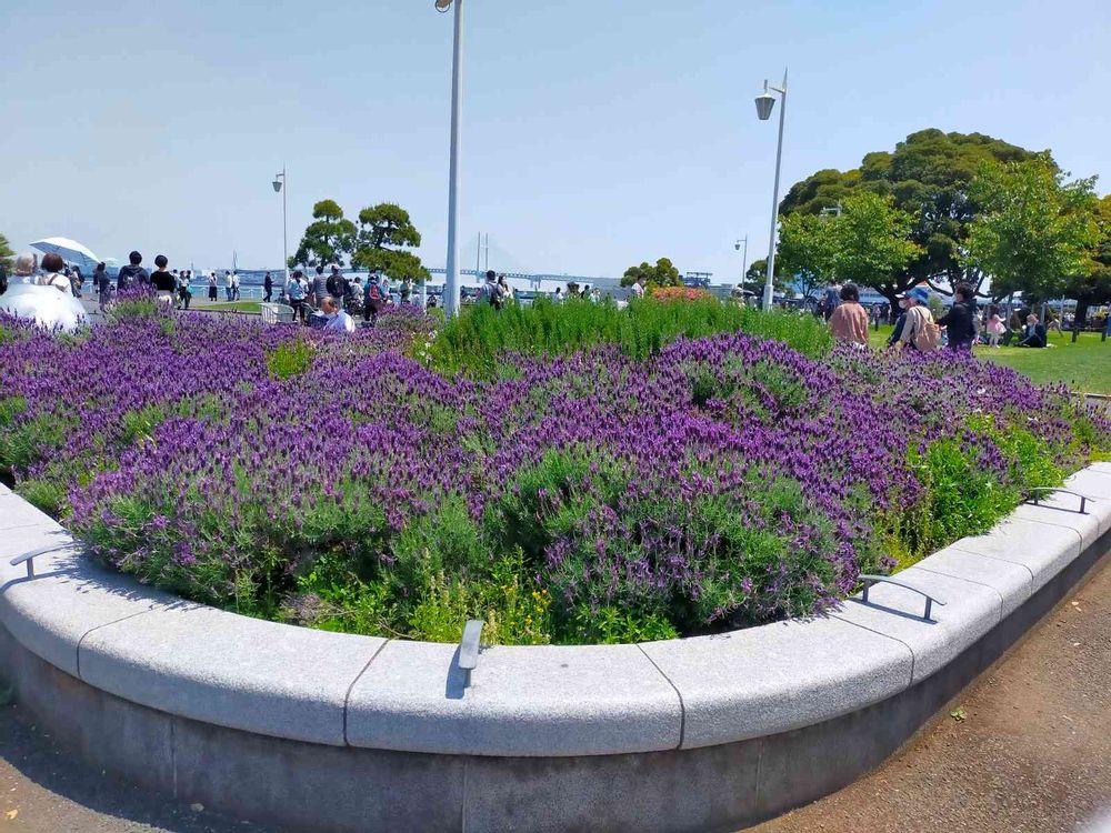 とりさんの山下公園への投稿