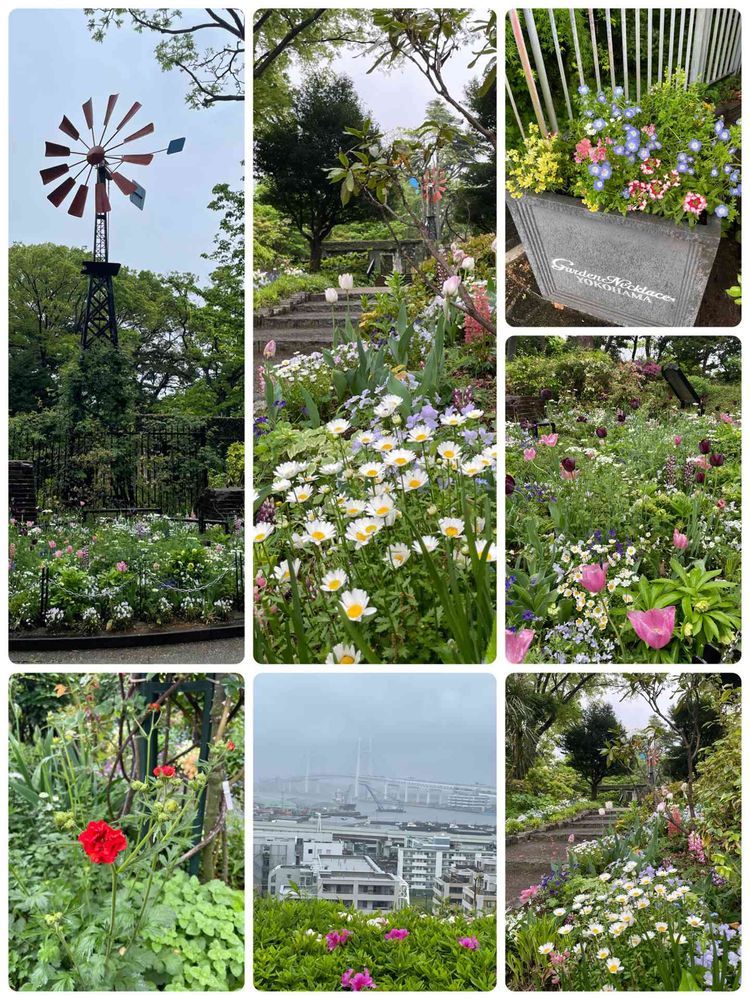 あーちゃんさんの港の見える丘公園への投稿