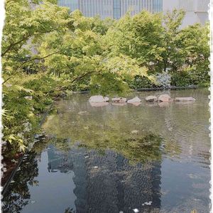 屋上庭園,お出かけ先の画像