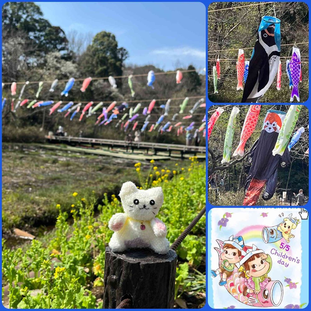 まつぴよさんの里山ガーデン（大花壇）への投稿