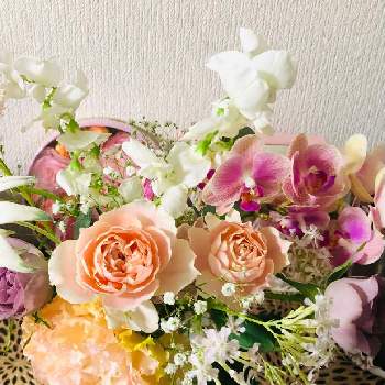 幸せのお裾分けの投稿画像一覧 Greensnap グリーンスナップ